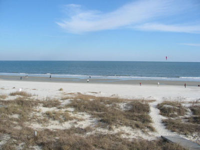 Ocean Views from the Beach