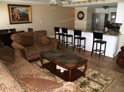 Open Living Room and Kitchen All New!