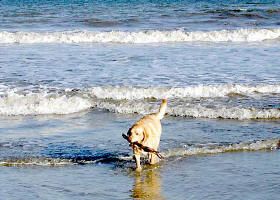 Hilton Head Beaches are the Best!