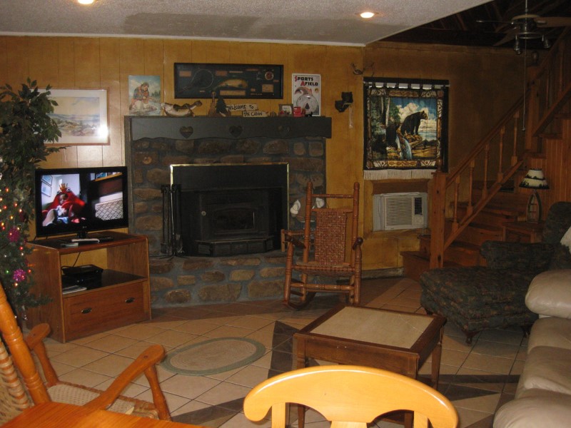 Fireplace in Living room and dining table
