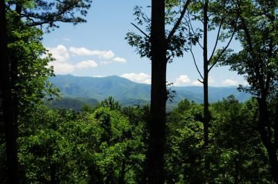 View from the deck