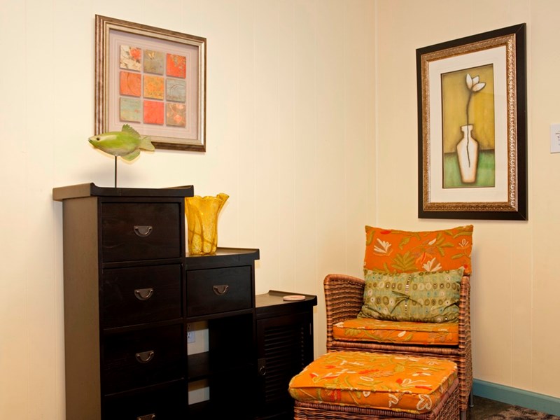 Comfy seating in living room