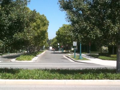 The short and peaceful walk down Magic Way to Downtown Disney and Main Gates. The short and peaceful walk down Magic Way to Downtown Disney and Main Gates.