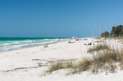 Nicest Beach on the Planet - short 1.5 block walk Nicest Beach on the Planet - short 1.5 block walk