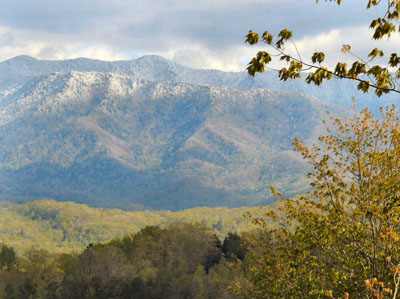 View of Mt LeConte from Deck