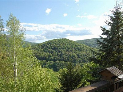Another view from the back deck