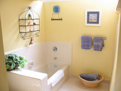 Separate Tub and Walk-in Showe