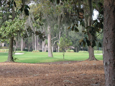 6th Fairway View of Harbour To