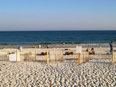 The Beautiful Beach Is Waiting For You...