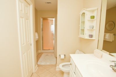 Master bath with whirlpool tub and shower