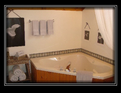 Master bath with Jacuzzi tub and seperate shower