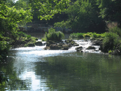 Many opportunities to fish, explore, swim, or simply gaze up and down Sulfur Creek