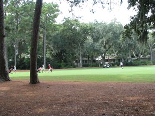 View of Harbour Town Links from Back Deck