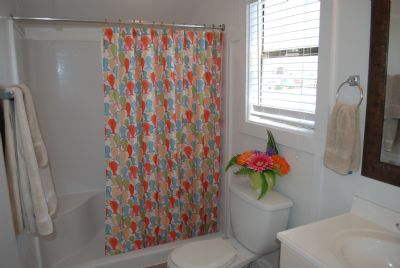 Upstairs Bath