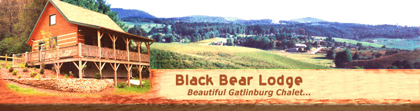 Black Bear Lodge