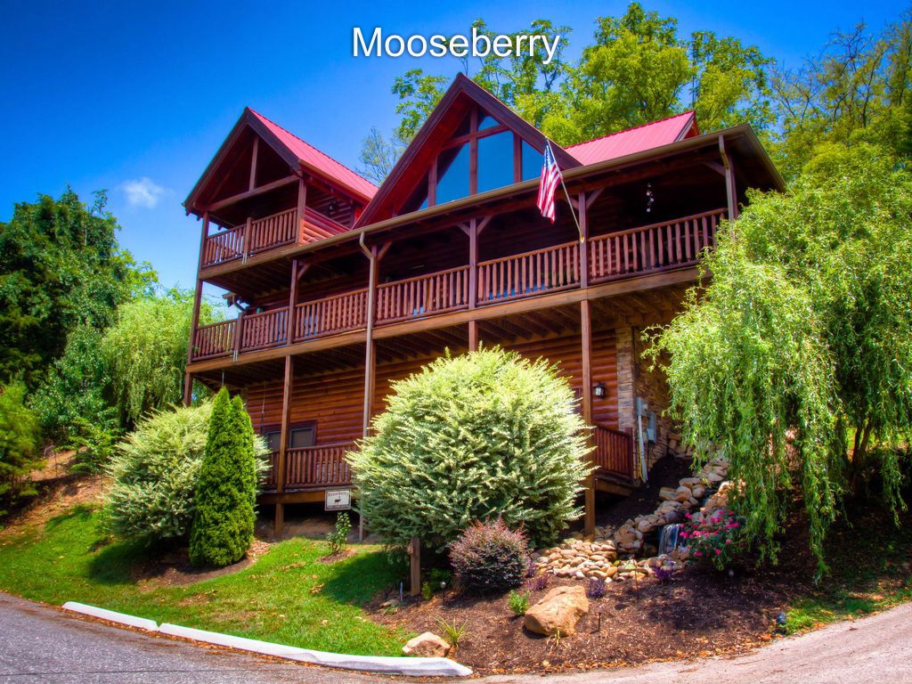 Welcome to Mooseberry