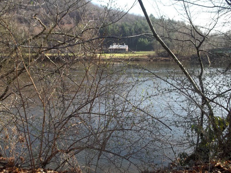 View from unit of Cheat River