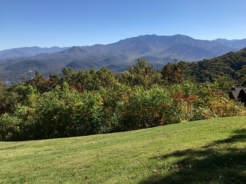 Outstanding view of Mt LeConte can be viewed just walking around the grounds.
