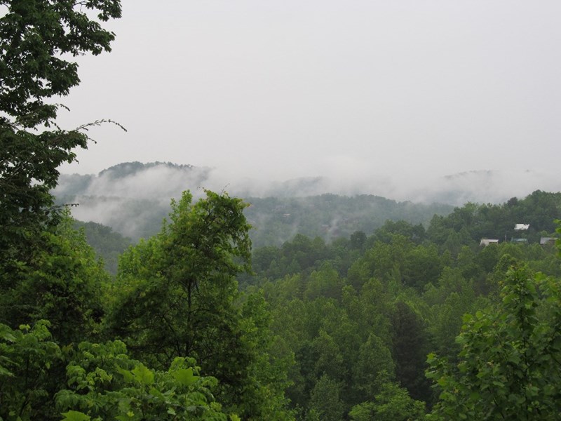 The view from the front deck