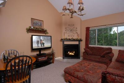 Rental #1752 - Moose-b-Haven Viewtiful Smoky Mtn Condo